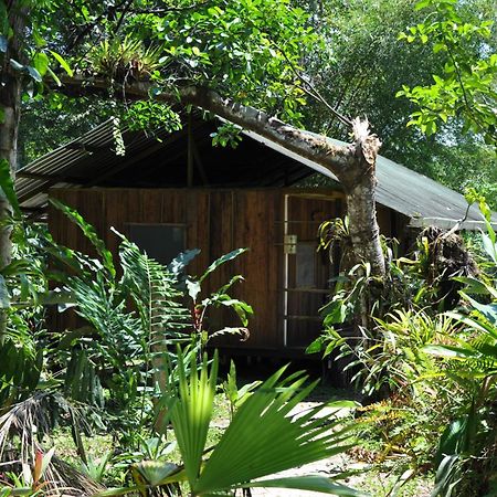 Hakuna Matata Amazon Lodge Archidona 외부 사진