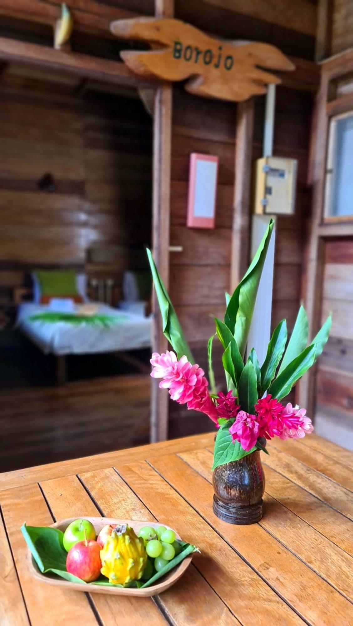 Hakuna Matata Amazon Lodge Archidona 외부 사진