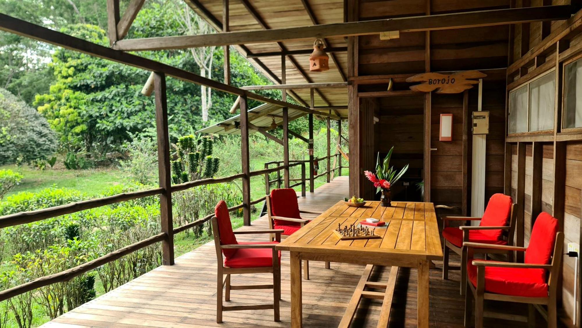 Hakuna Matata Amazon Lodge Archidona 외부 사진