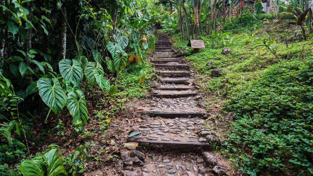 Hakuna Matata Amazon Lodge Archidona 외부 사진