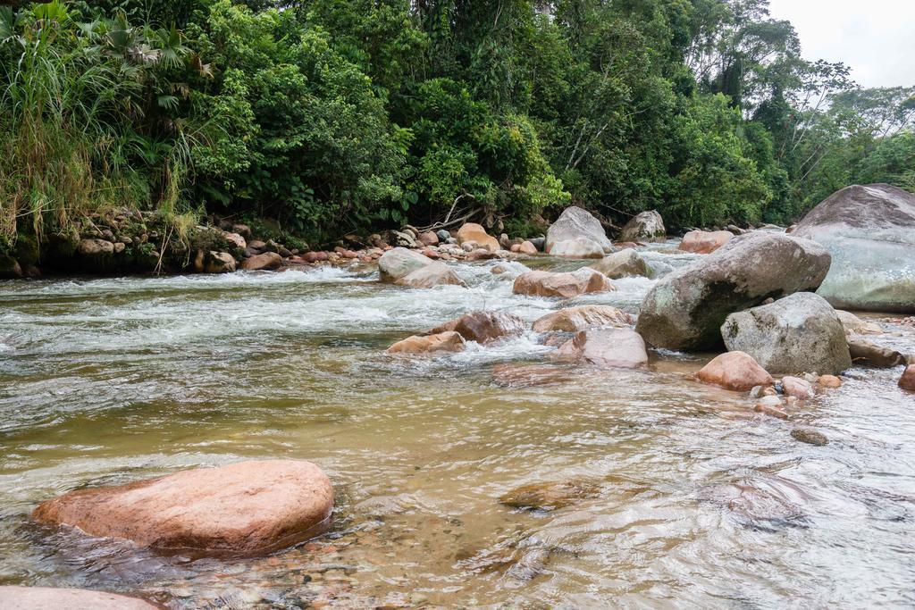 Hakuna Matata Amazon Lodge Archidona 외부 사진